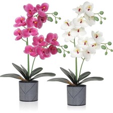 Kunstorchideen Orchideen