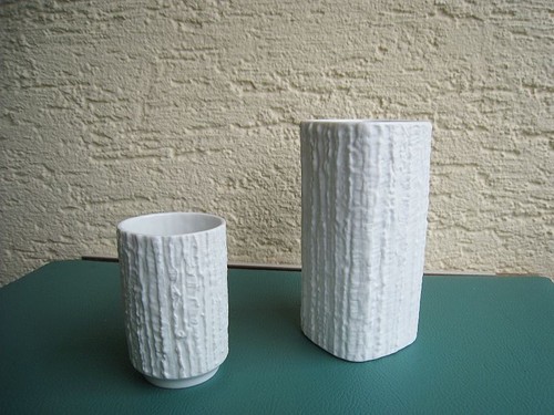 Thomas arcta - (rosenthal),