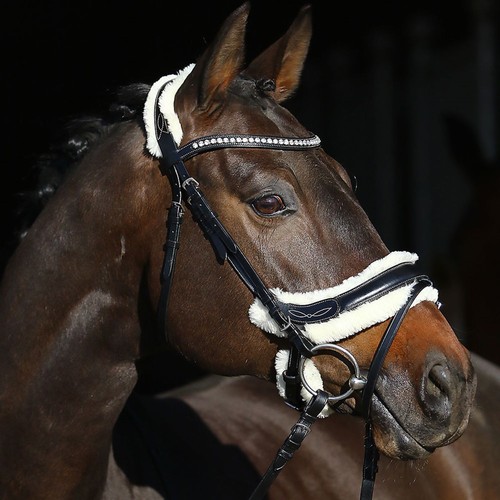 Euroriding trense leon mit - euroriding,