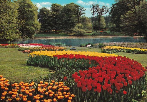 Alte postkarte holland - -,