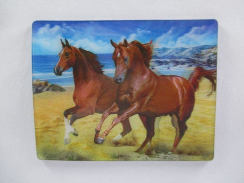 Pferde horses tier magnet - tier, 3