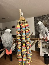 Papageienspielzeug XXL Graupapagei Spielzeug Amazone Kakadu