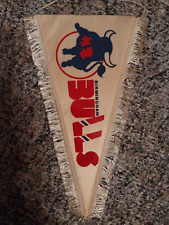alter  Eishockey Wimpel US Team Birmingham Bulls Rarität