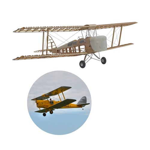 Tiger moth doppeldecker - moth,