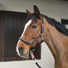 Halfter USG SPORTS schwarz