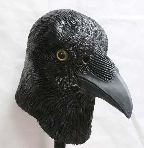 Schwarze krähe maske - schwarze,