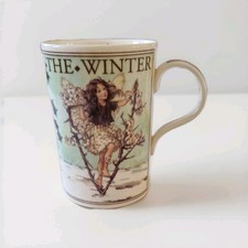 Flower Fairies of the Winter