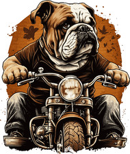 Englische Bulldogge Auto
