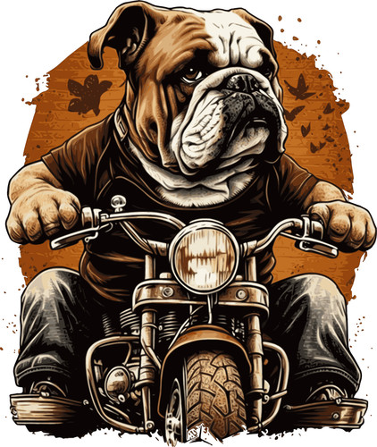 Englische bulldogge auto - englische,