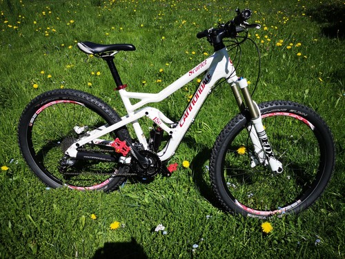 Cannondale scarlett 150 - cannondale,