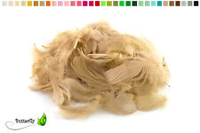 100 Gänsefedern 10cm