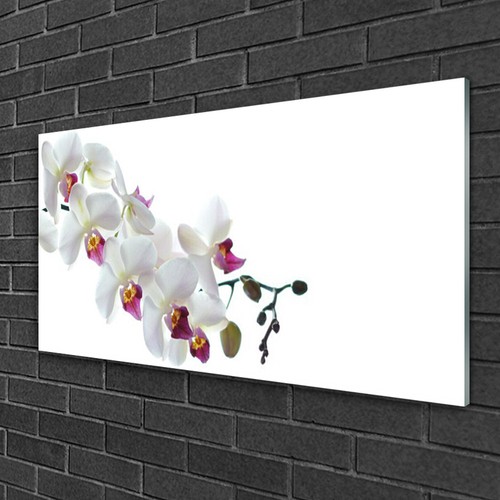Glasbilder 100x50 wandbild - glasbilder,
