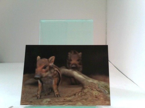 Ansichtskarten postkarten - 3d, ansichtskarten/postkarten