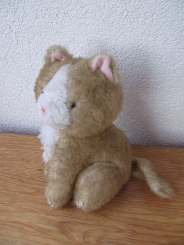 Toyana katze kater - katze,