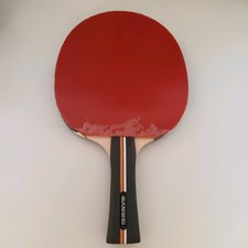 TISCHTENNIS SCHLÄGER Sanwei