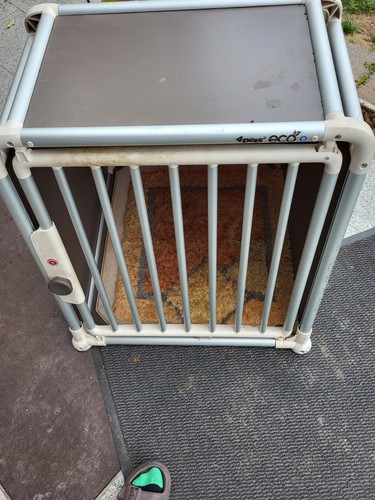 Auto hundebox 4pets eco - auto,