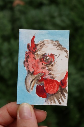 Gackeline aquarell huhn - aquarell, |