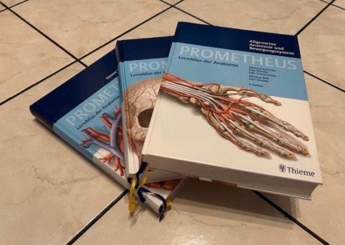 Thieme prometheus anatomie - thieme,