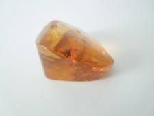 Natur Bernstein Insekt Inkluse Mücke? Ungelocht 9,6 g/3,6 x 2,8 x 1,8 cm