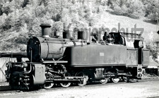 Dampflok Foto - MEG 104 in Todtnau (Schwarzwald) am 10.5.1961