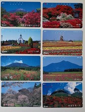 8 x schöne Natur Pflanzen