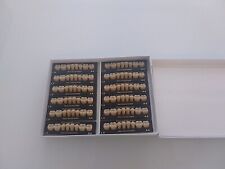 16 Zahngarnituren A4 L Merz