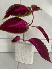 Blumenvase Vase verschließbar für Unterwegs Metallbehälter mit Strukturpaste