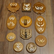 Wildschweinwaffen (Sus scrofa)