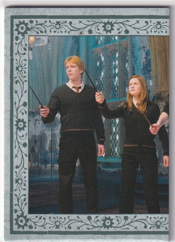 Panini harry potter - harry,