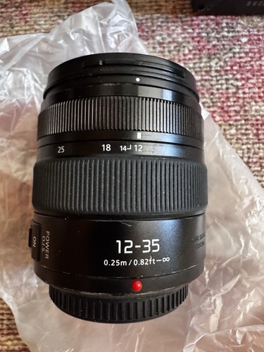Panasonic lumix vario - g, x