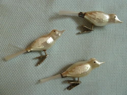 Alte glasvögel mit - glasvögel, klammer