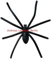 Spinne Winkelspinne
