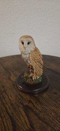 Country artists barn owl - artists,