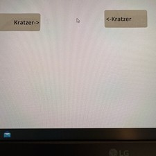 23,8" LG 24BK550Y 2 Kratzer mittig