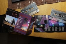 Pink Floyd Delicate Sound of