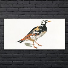 Zeichnung Tier Vogel Kunst