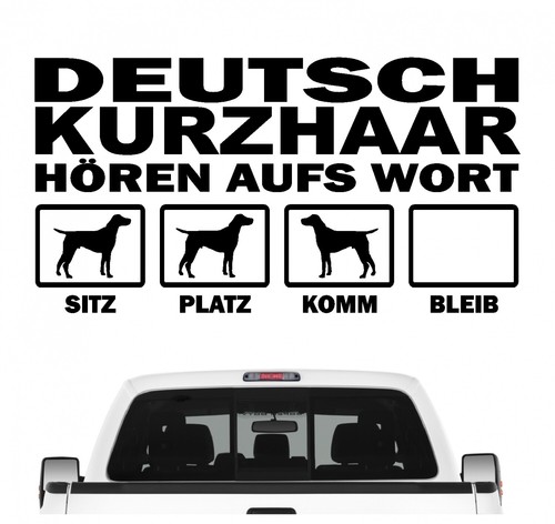 Deutsch kurzhaar jagd hört - kurzhaar,