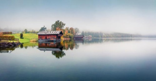 Wandbild foggy herbst - wandbild:,