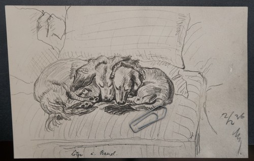 Foto hunde zeichnung dackel - foto,