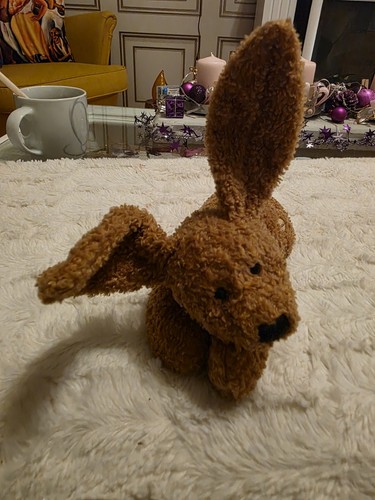 Süßer sunkid hase mit - süßer,