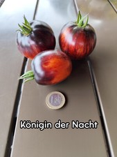 Tomatensamen königin der - tomatensamen, |