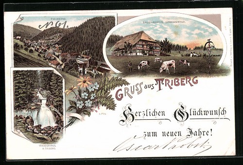 Lithographie triberg - lithographie, /