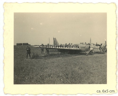 Orig foto russ beute - orig.,