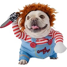 Hund Halloween Kostüm