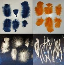Federn, Marabu, Pute, Hahnenkreuz, Strauß | Blau, Orange, Weiß | 6-12 cm