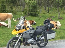 Windschild Top BMW R1200 GS klar