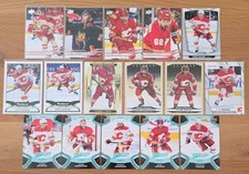 Trading Card Lot Sammelkarten