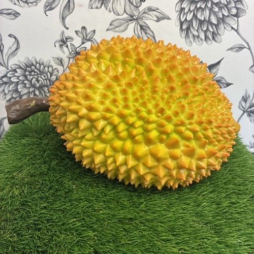 Lebensechte künstliche durian - lebensechte,