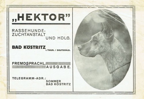 Rudolf sommer hektor - sommer, 'hektor'