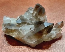 Kleinstufe Rauchquarz XX aus dem Binntal, Wallis, Schweiz